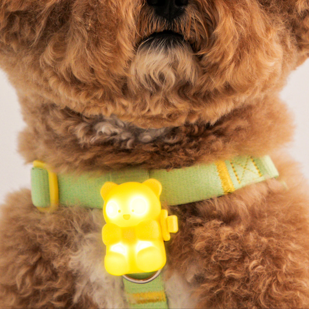 Jelly Bear LED Rechargable Blinker (3 colors)