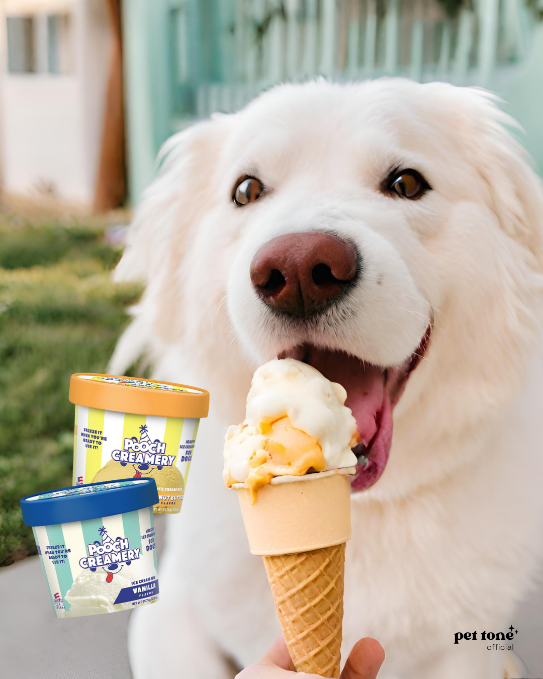 Ice Cream Mix Pack Dog Treat