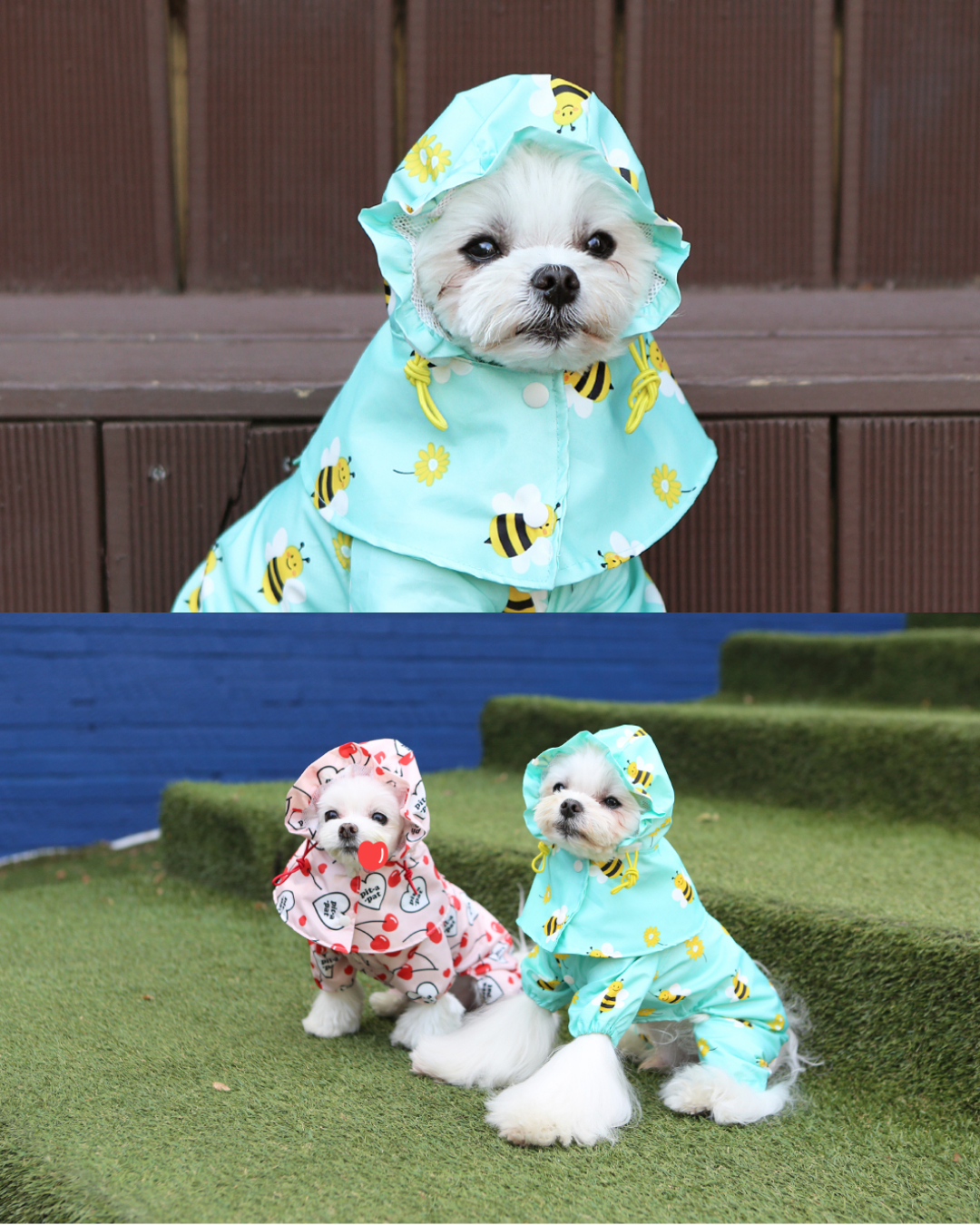 All-in-One Pet Raincoat 