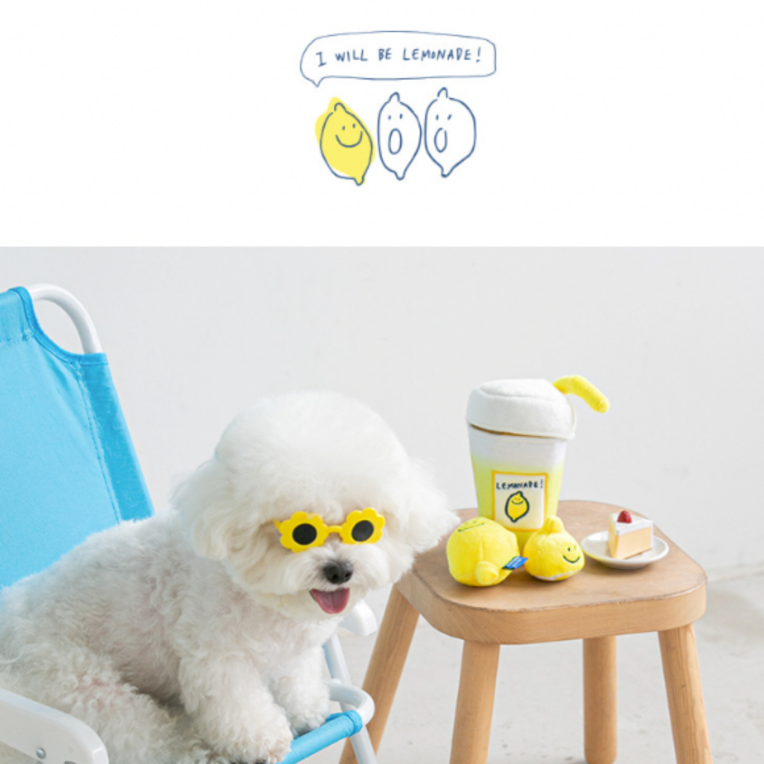 Lemonade Nose Work Pet Toy