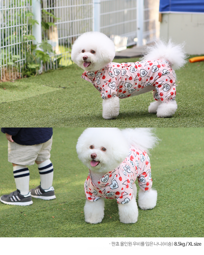 All-in-One Pet Raincoat 
