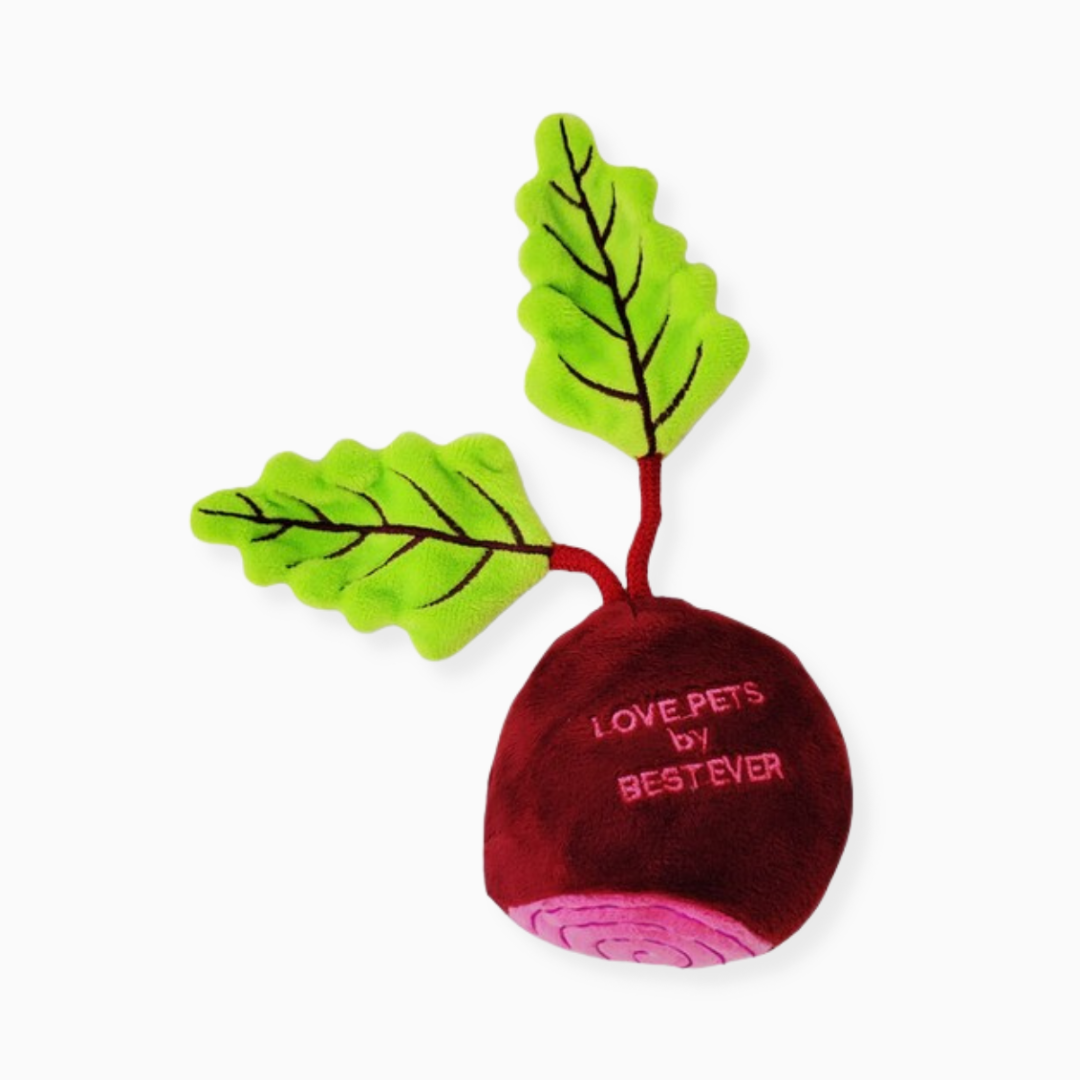 Vegetable Collection - Beetroot Dog Toy