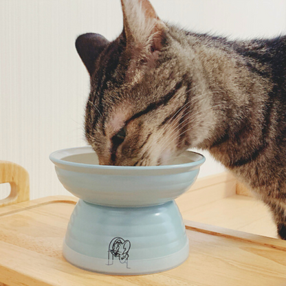 Tom and Jerry Ceramic Pet Fool Bowl (Made in Japan)