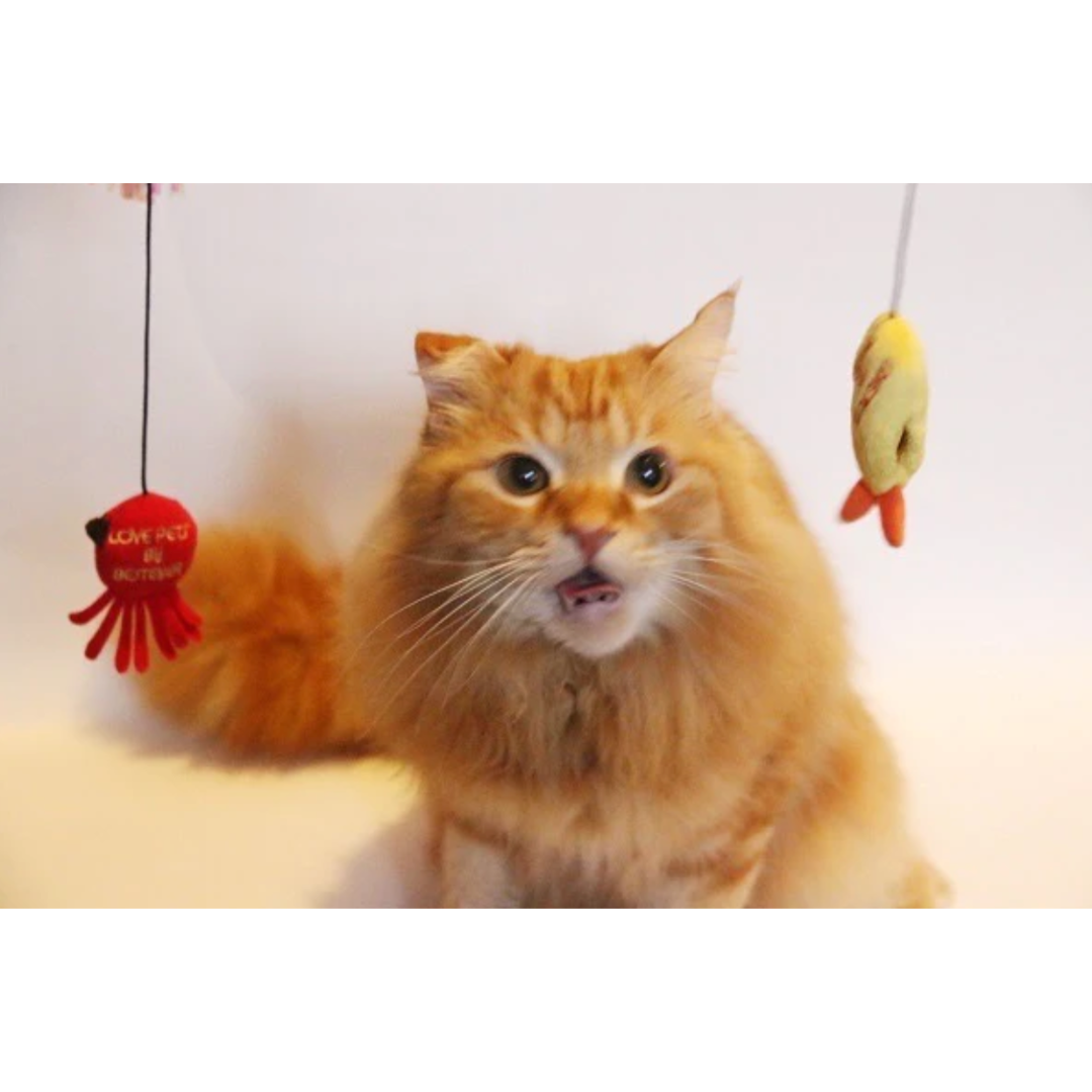 Fish Market - Shrimp Tempura Cat Teaser