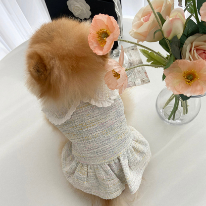 Tweed Pet Dress