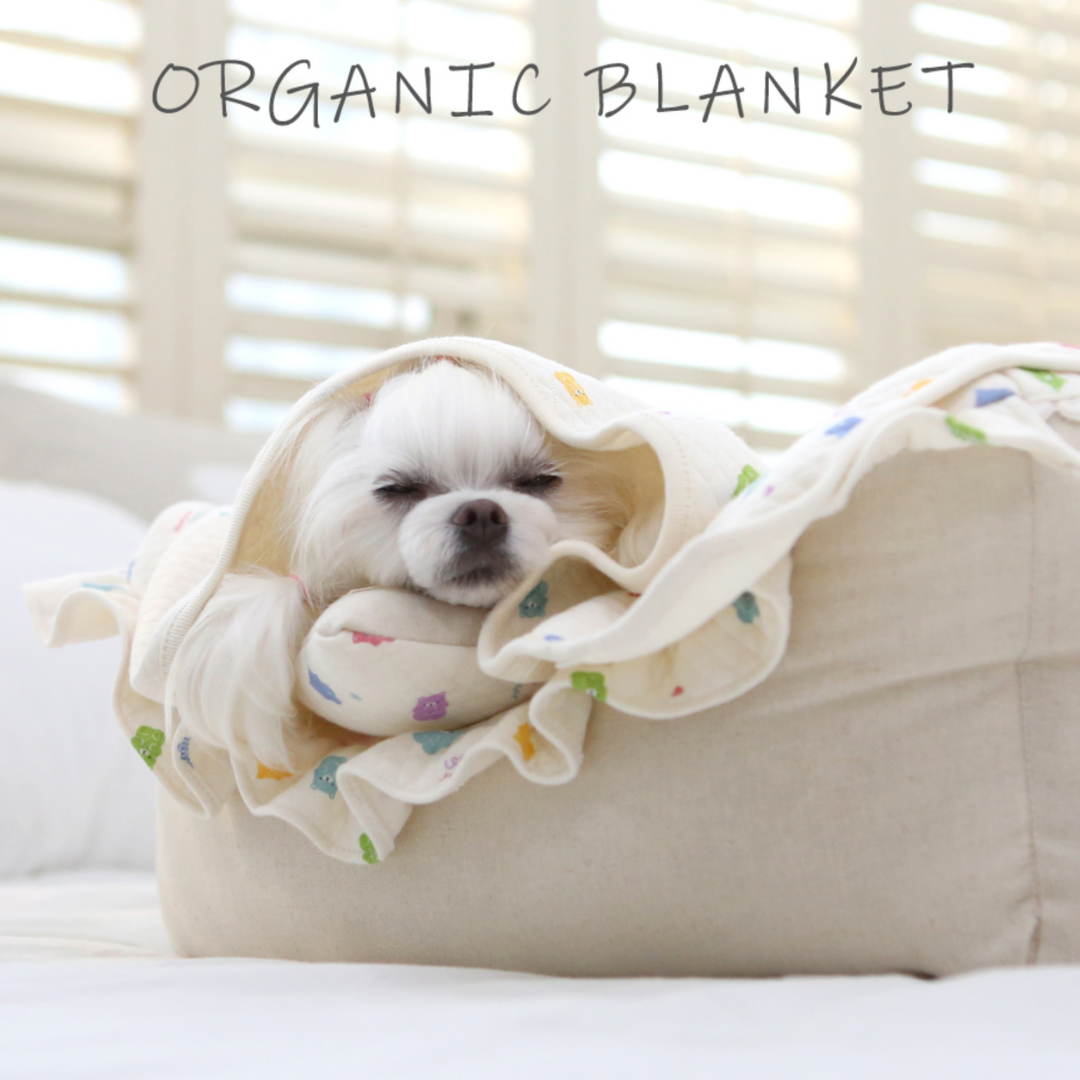 Organic Jelly Bear Pet Blanket (With Rabbit Doll)