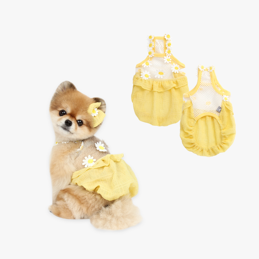 Daisy Balloon Pet Dress