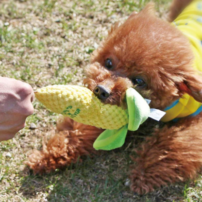 Vegetable Collection - Sweet Corn Dog Toy