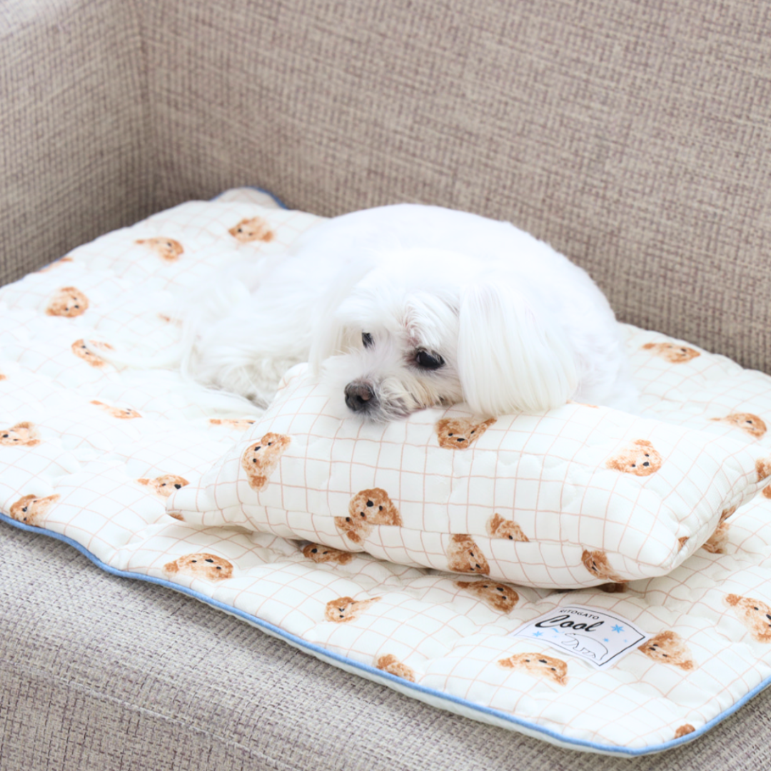 Bear Rectangle Pet Cooling Mat