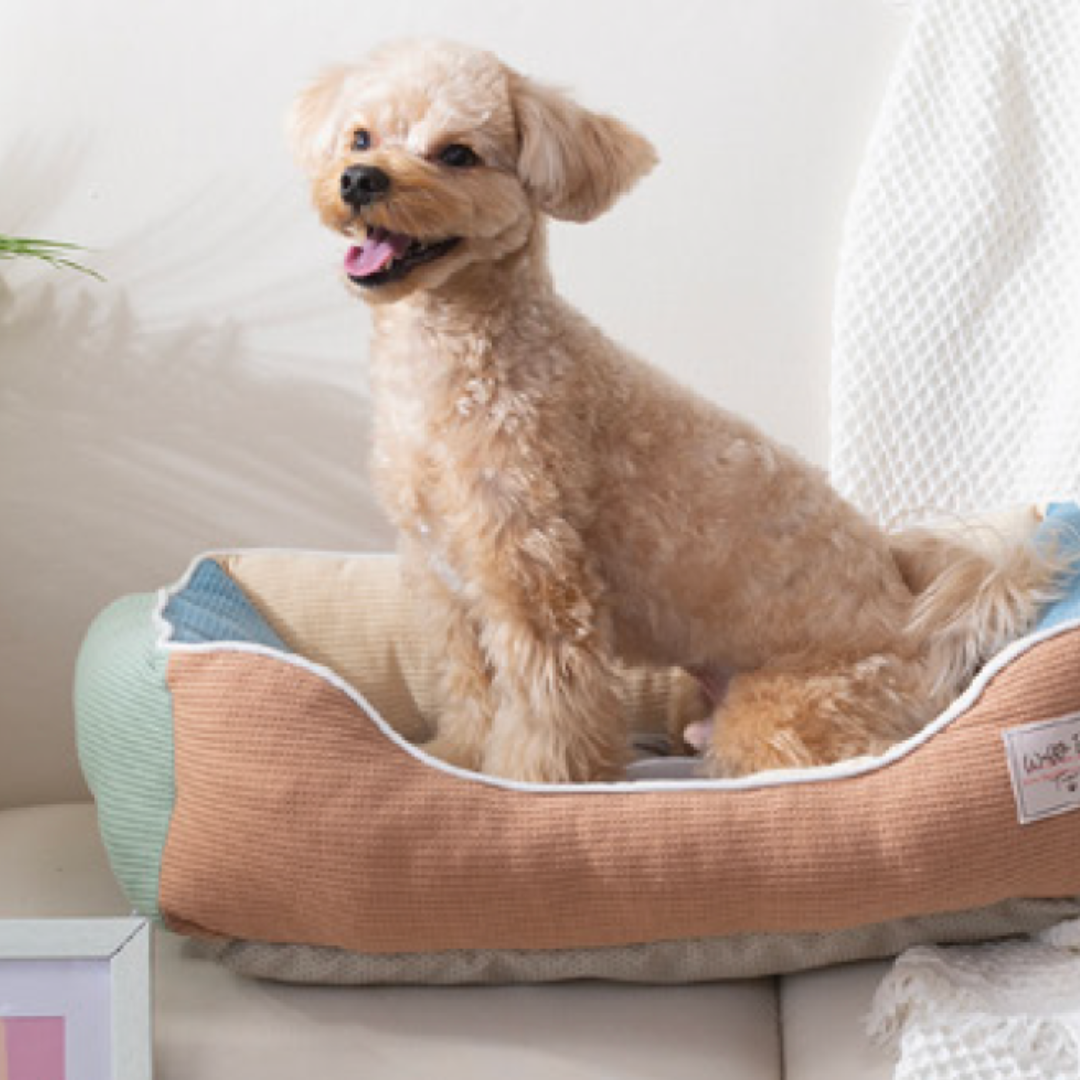 Spring Edition MIX & MATCH Pet Bed